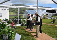 Visitors looking at the Proven Winners Varieties.
